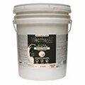 Gourmetgalley 5 gal Easy Care Weather All Exterior Ultra Premium HP-10 Latex Primer GO3253250